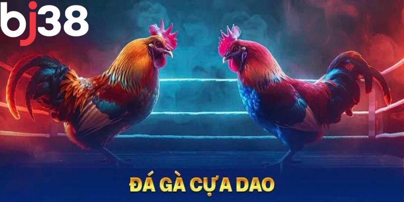 Đá gà dao