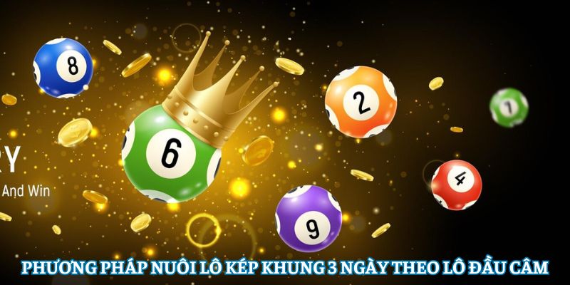 Lô kép nuôi khung 3 ngày theo lô đầu câm