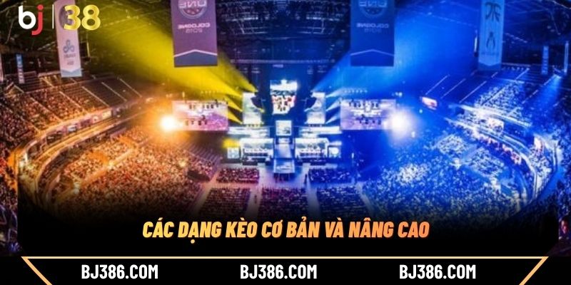 Các dạng kèo cơ bản và nâng cao Các dạng kèo cơ bản và nâng cao