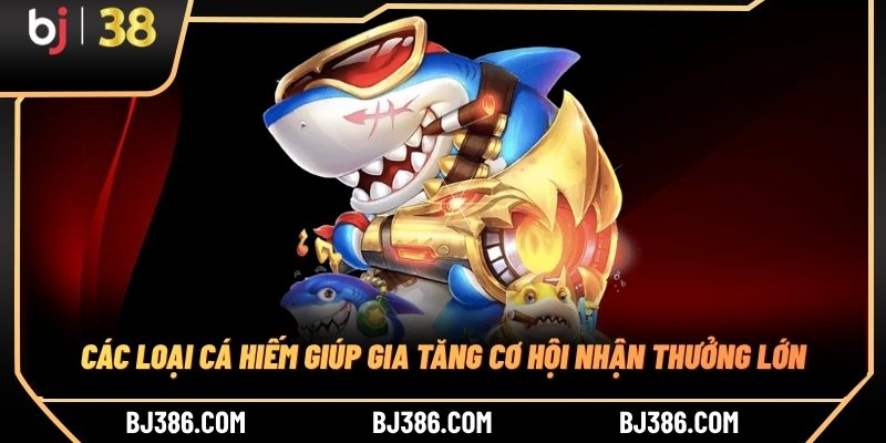 Các loại cá hiếm giúp gia tăng cơ hội nhận thưởng lớn Các loại cá hiếm giúp gia tăng cơ hội nhận thưởng lớn