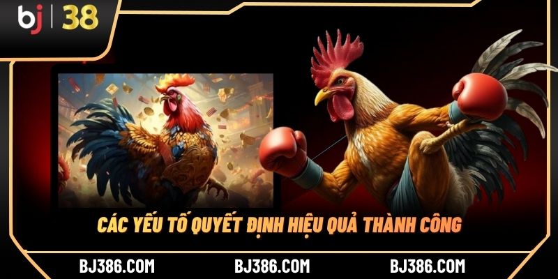 Các yếu tố quyết định hiệu quả thành công