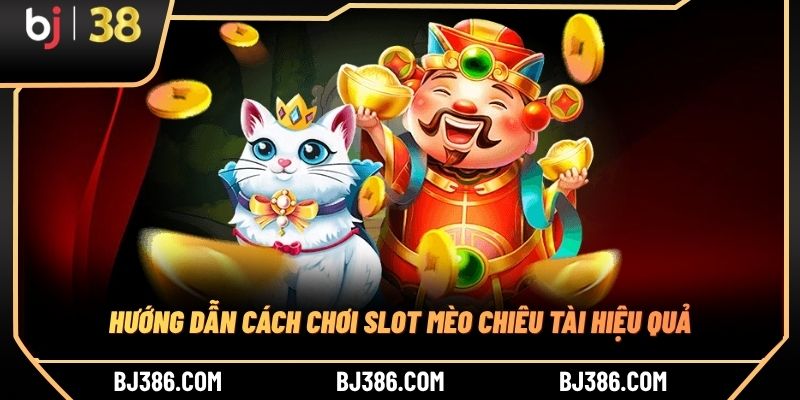 Hướng dẫn cách chơi slot mèo chiêu tài hiệu quả