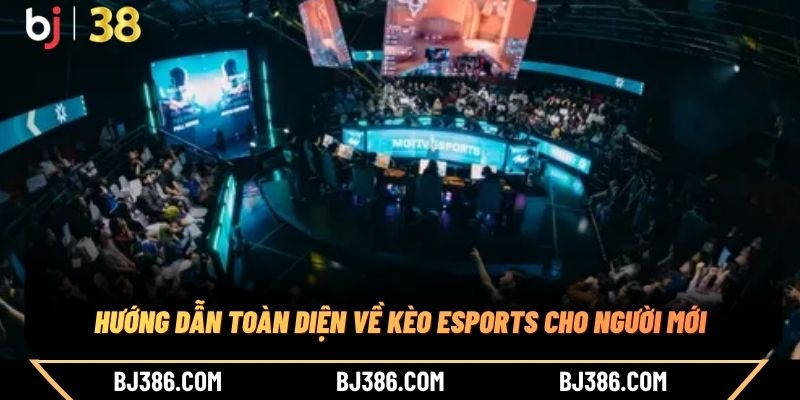 Hướng dẫn toàn diện về kèo Esports cho người mới Hướng dẫn toàn diện về kèo Esports cho người mới