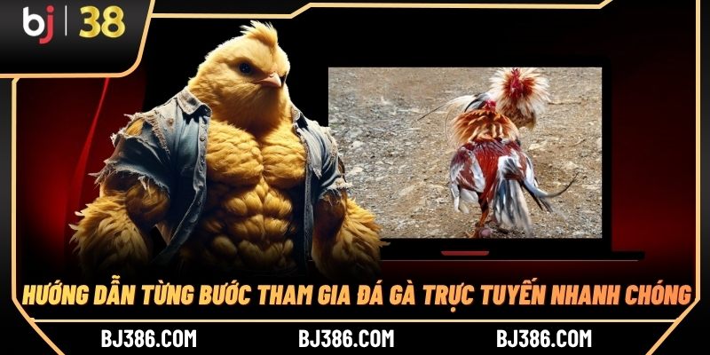Hướng dẫn từng bước tham gia đá gà trực tuyến nhanh chóng