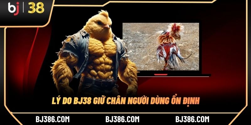 Lý do BJ38 giữ chân người dùng ổn định