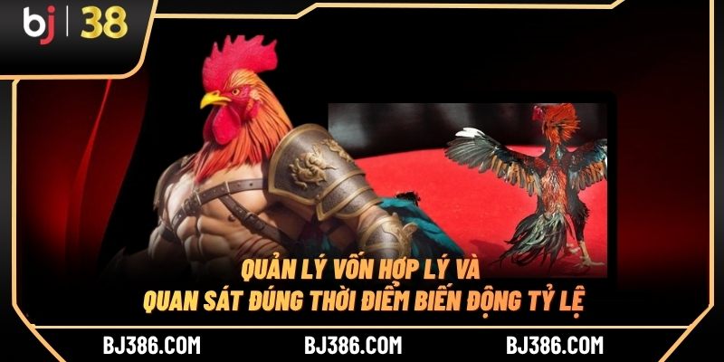 Quản lý vốn hợp lý và quan sát đúng thời điểm biến động tỷ lệ