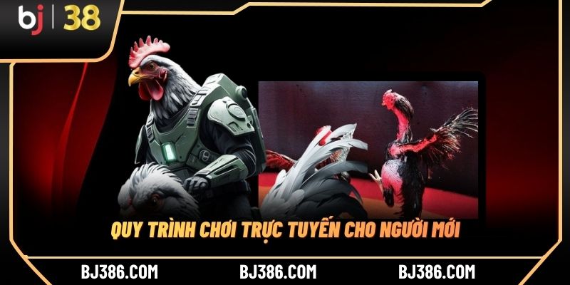 Quy trình chơi trực tuyến cho người mới