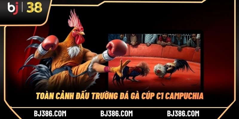 Toàn cảnh đấu trường đá gà Cúp C1 Campuchia