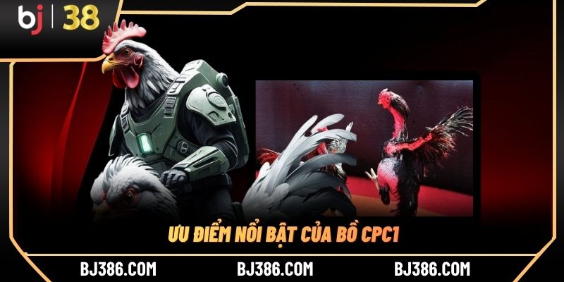 Ưu điểm nổi bật của bồ CPC1 